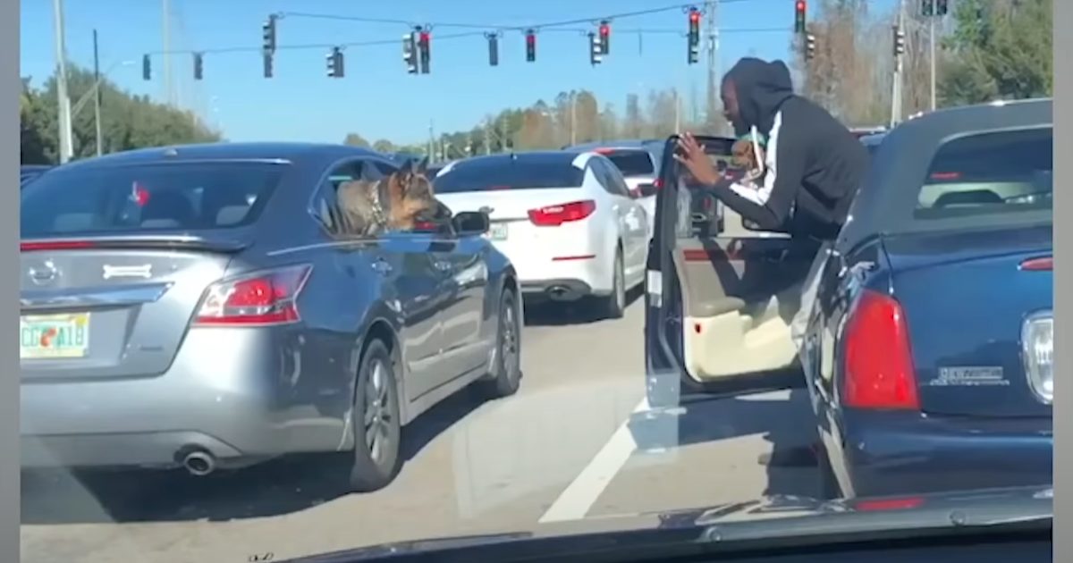 Man hops out of his car at traffic light and starts running toward car next to him